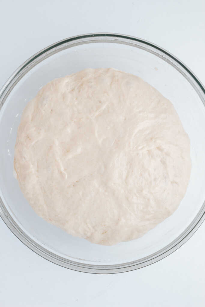 Ciabatta dough doubled in size in a bowl